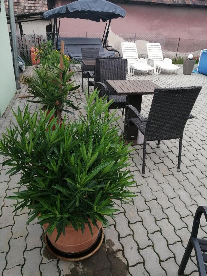 Attila Vendeghaz Tapioszentmarton Hotel Luaran gambar