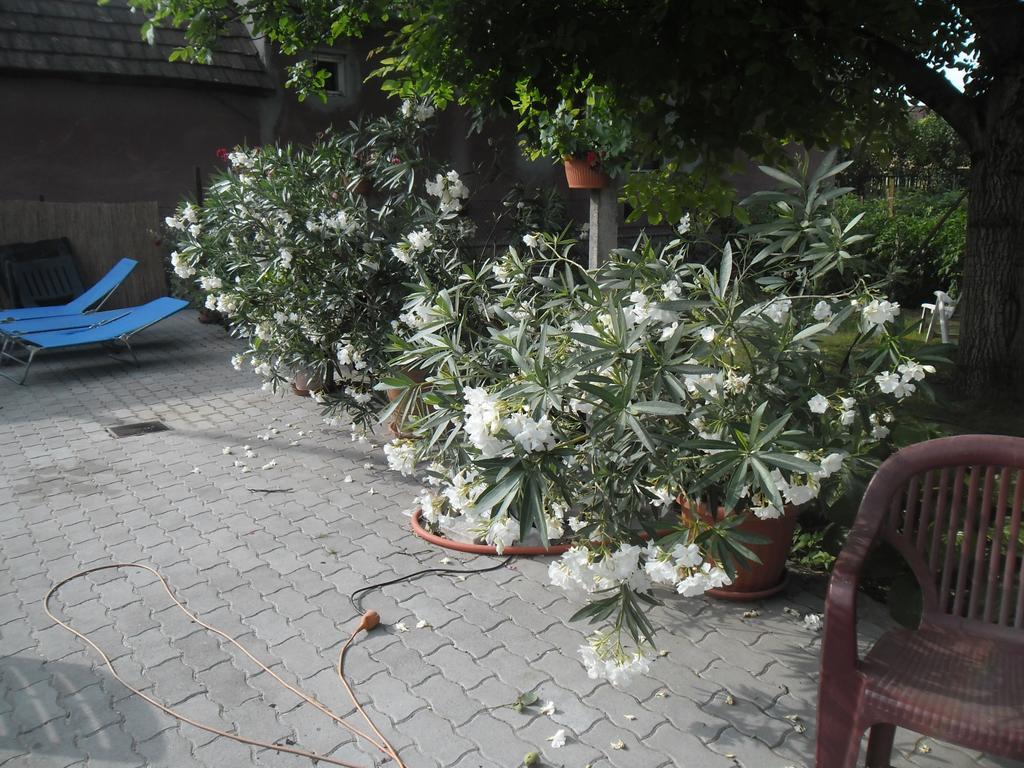 Attila Vendeghaz Tapioszentmarton Hotel Luaran gambar